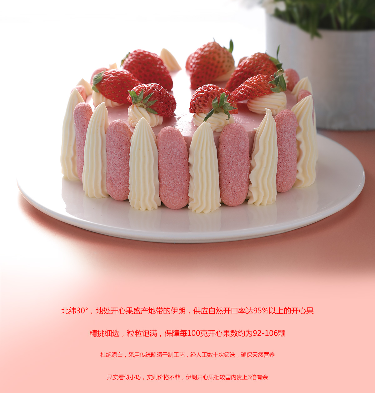 美食摄影烘焙甜点【芝士慕斯蛋糕】|摄影|产品|张heng - 原创作品 - 站酷 (ZCOOL)